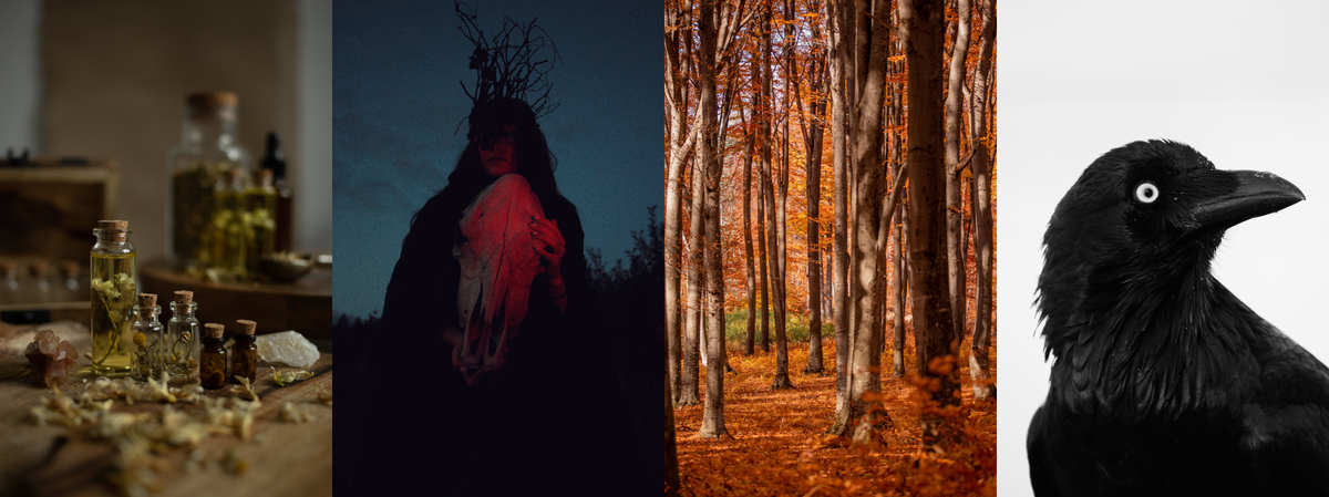 Votez pour le thème de l'automne 🍁