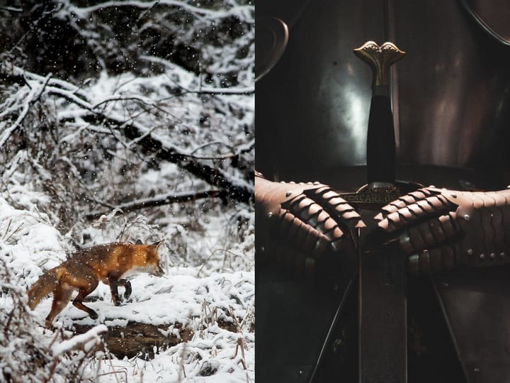 Votez pour le thème de l'hiver ❄️